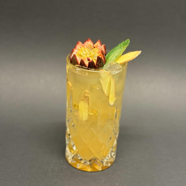 Hauslimonade Passionsfrucht-Ingwer